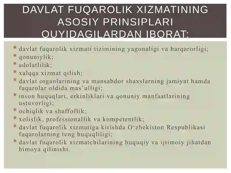 Davlat xizmati tushunchasi va elektron hukumat 4