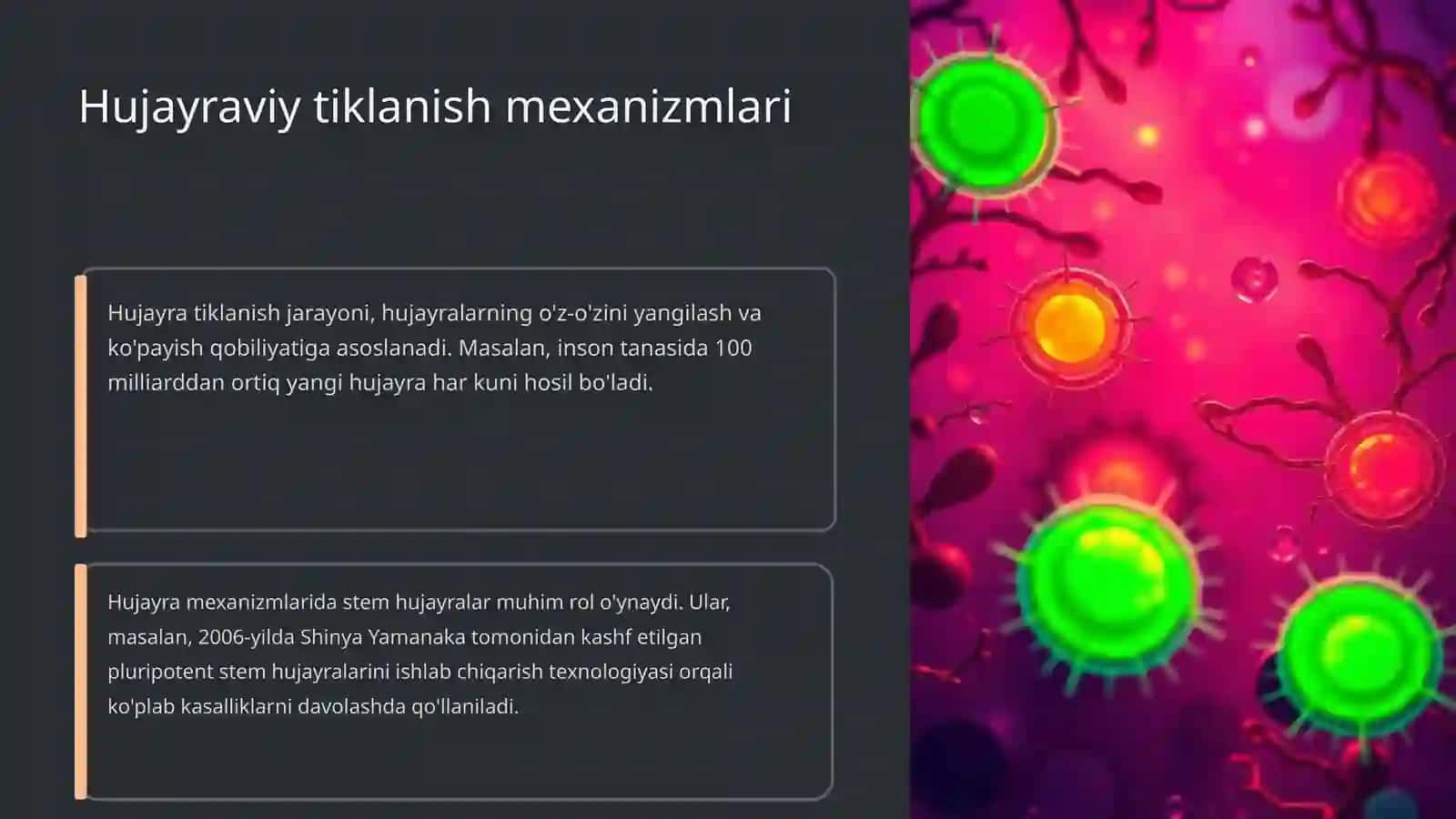Organizimning tula turlanishdan kiyingi tiklanish kinetikasi 4