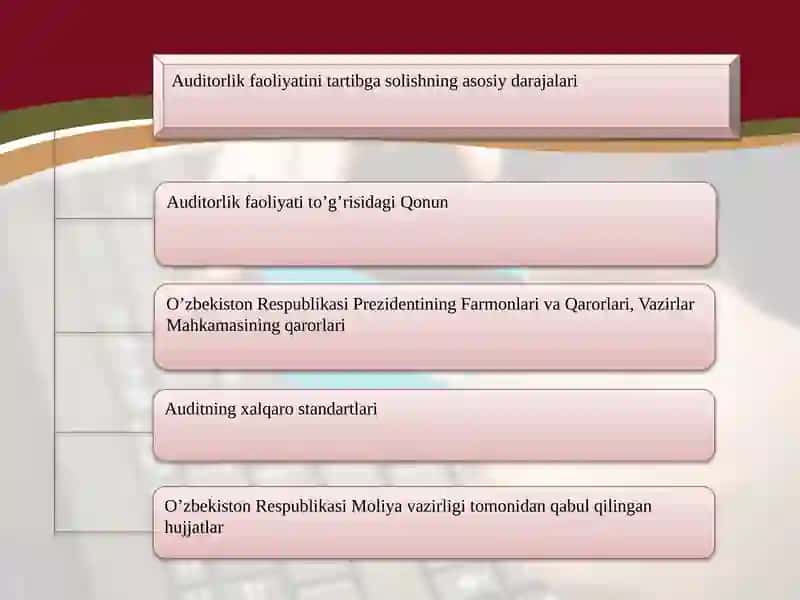 Auditorlik faoliyatining huquqiy asoslari 4