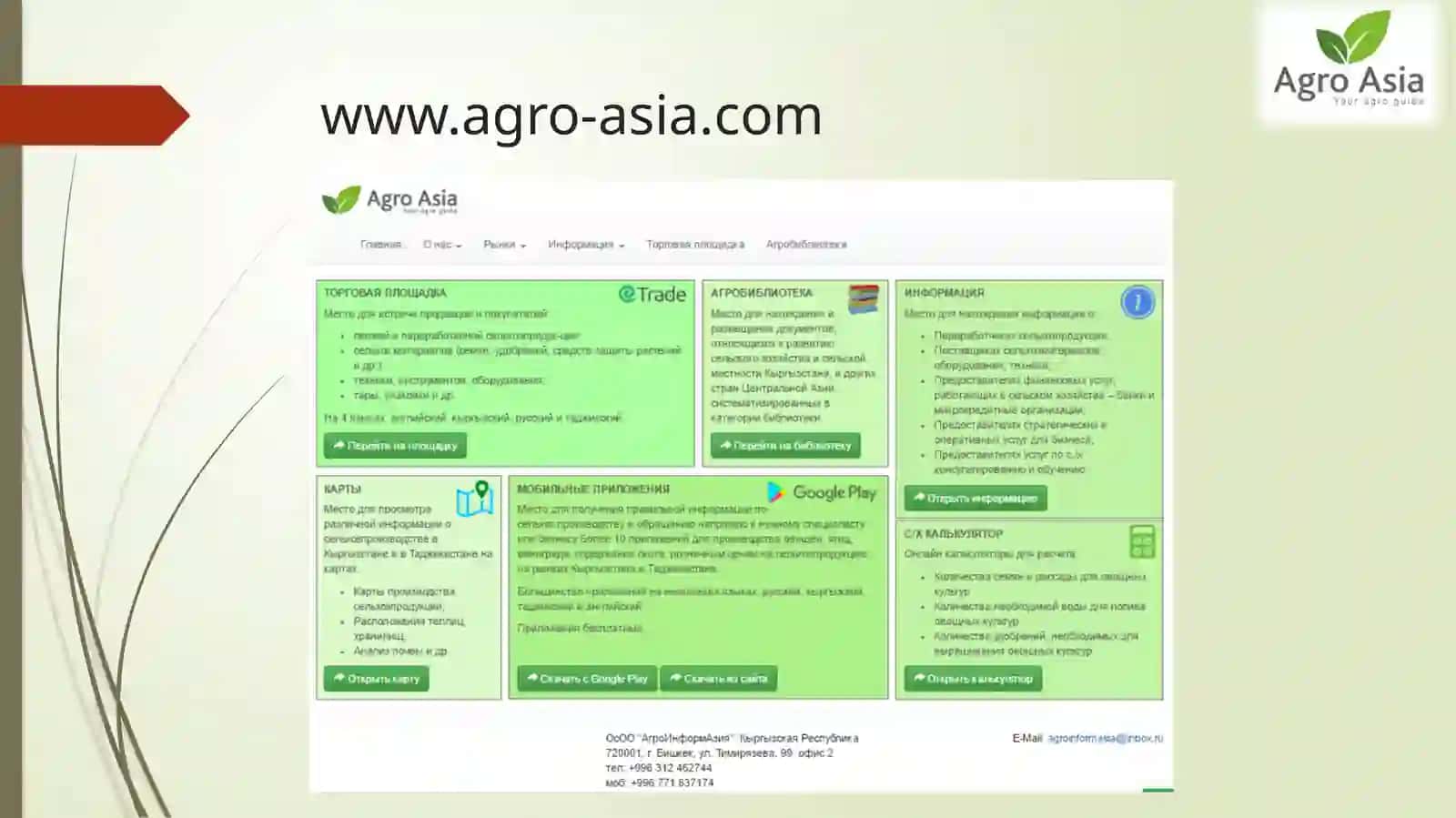 Modern Tools for Work with Information 4