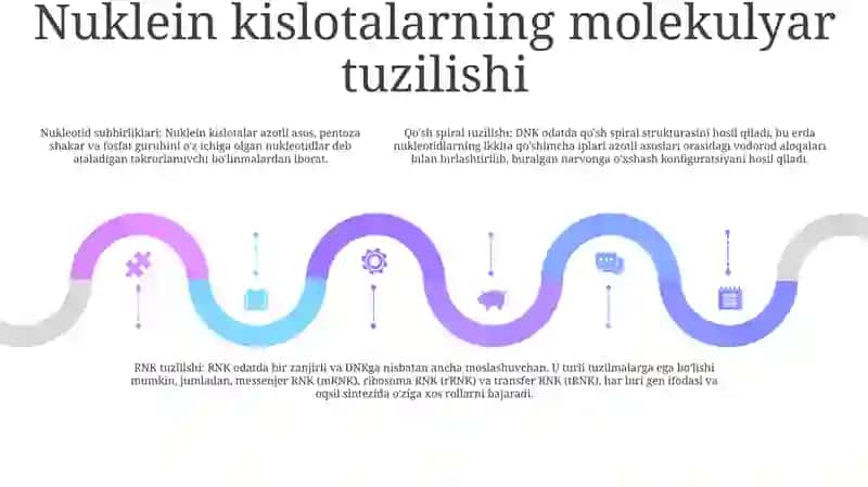 Nuklein Kislotalar 4
