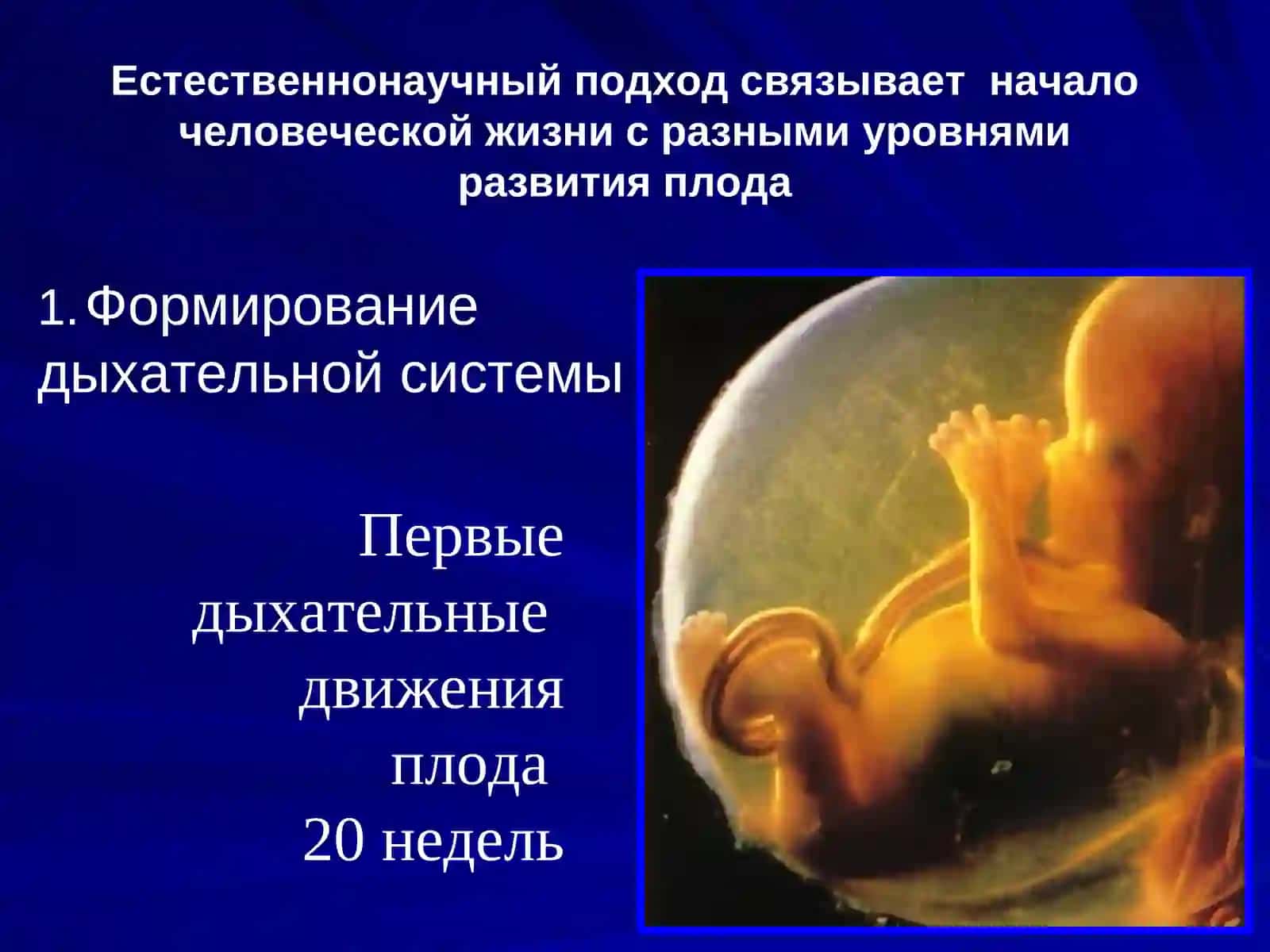 Моральный статус эмбриона 4