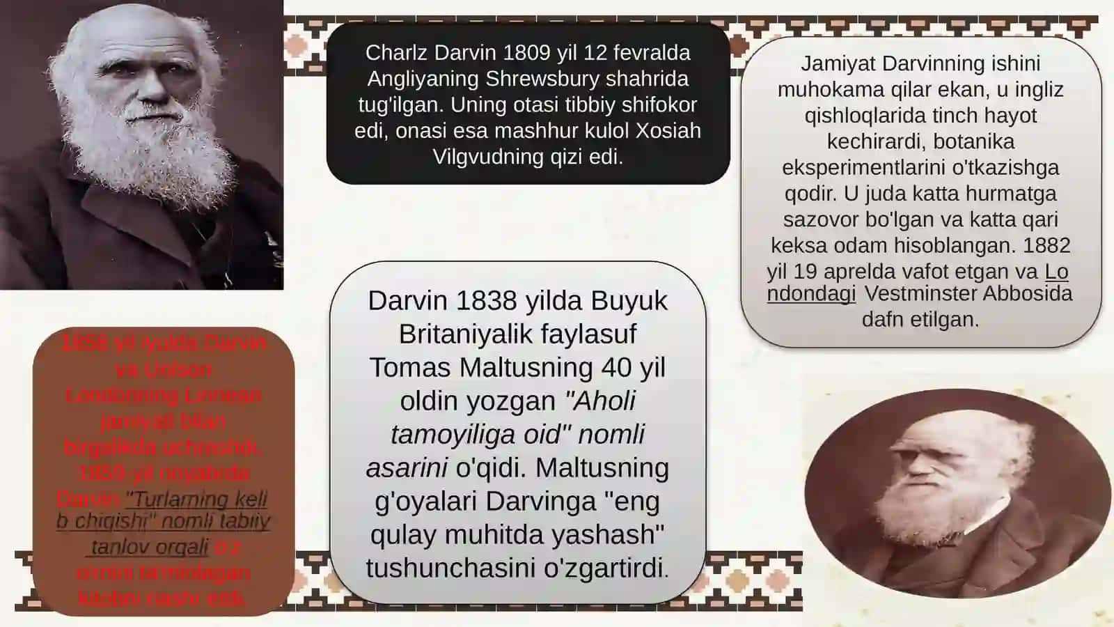 Zamonaviy evolyutsiya teoriyalari 4