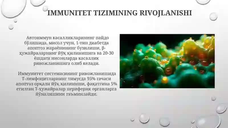 Hujayra apaptozi va uning biologik ahamiyati jarayonlarining boshqariluvi 4