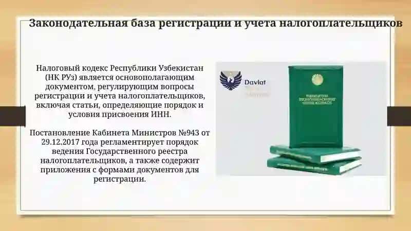 Регистрация и учет налогоплательщиков: Обзор системы 4