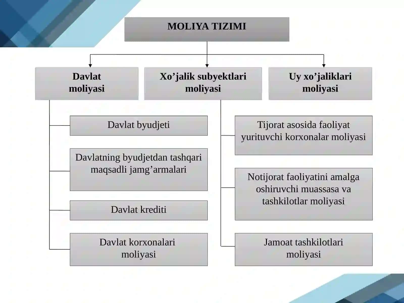 DAVLAT MOLIYASITIZIMI 4