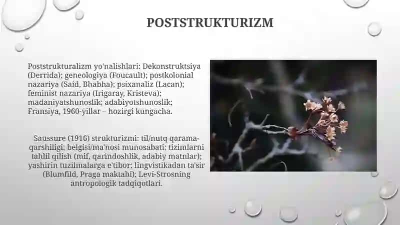 Asosiy Strukturalizm 4