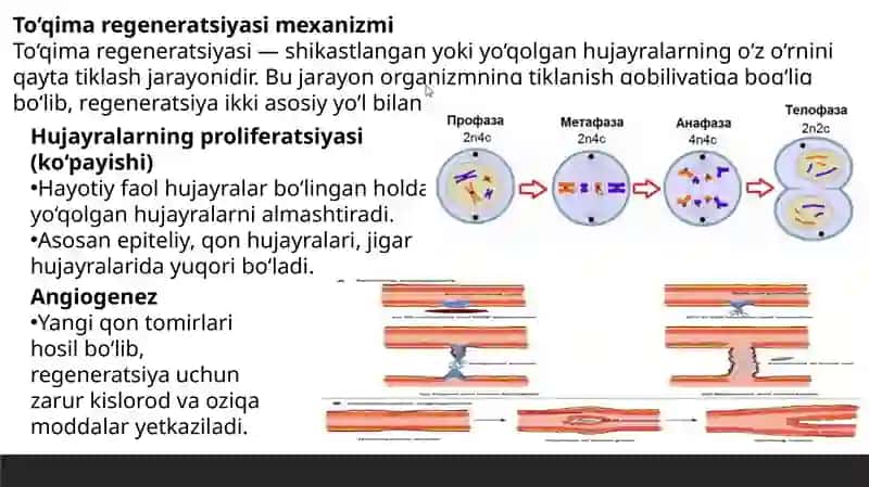 Yallig’lanishni tizimli tasirlari 4