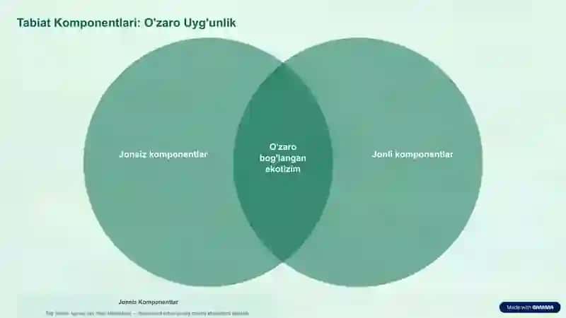 Tabiat va uning komponentlari. 4