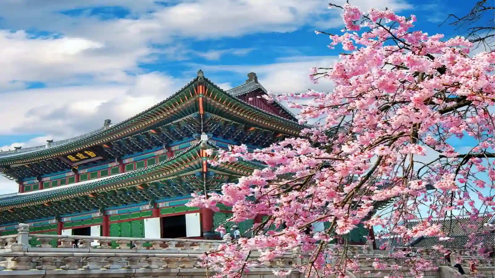 South Korea (대한민국) 4