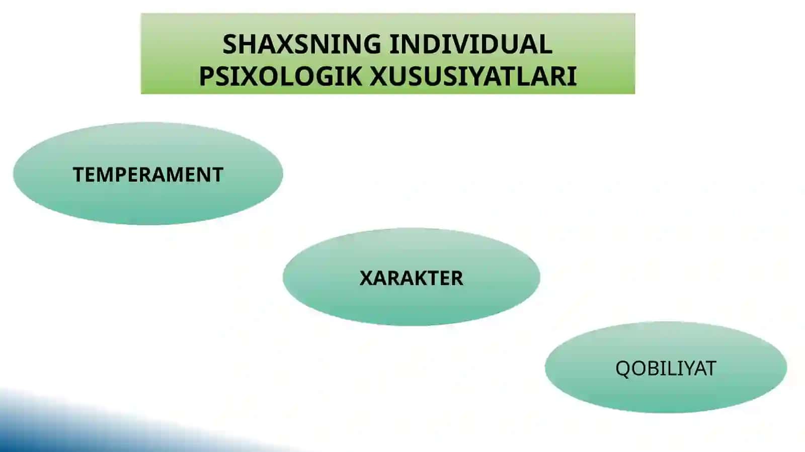 PEDAGOGIKA KAFEDRASI 4