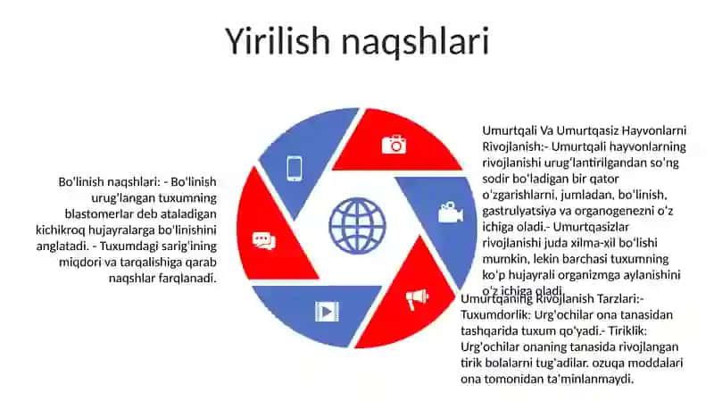 Umurtqali Va Umurtqasiz Hayvonlarni Rivojlanish 4