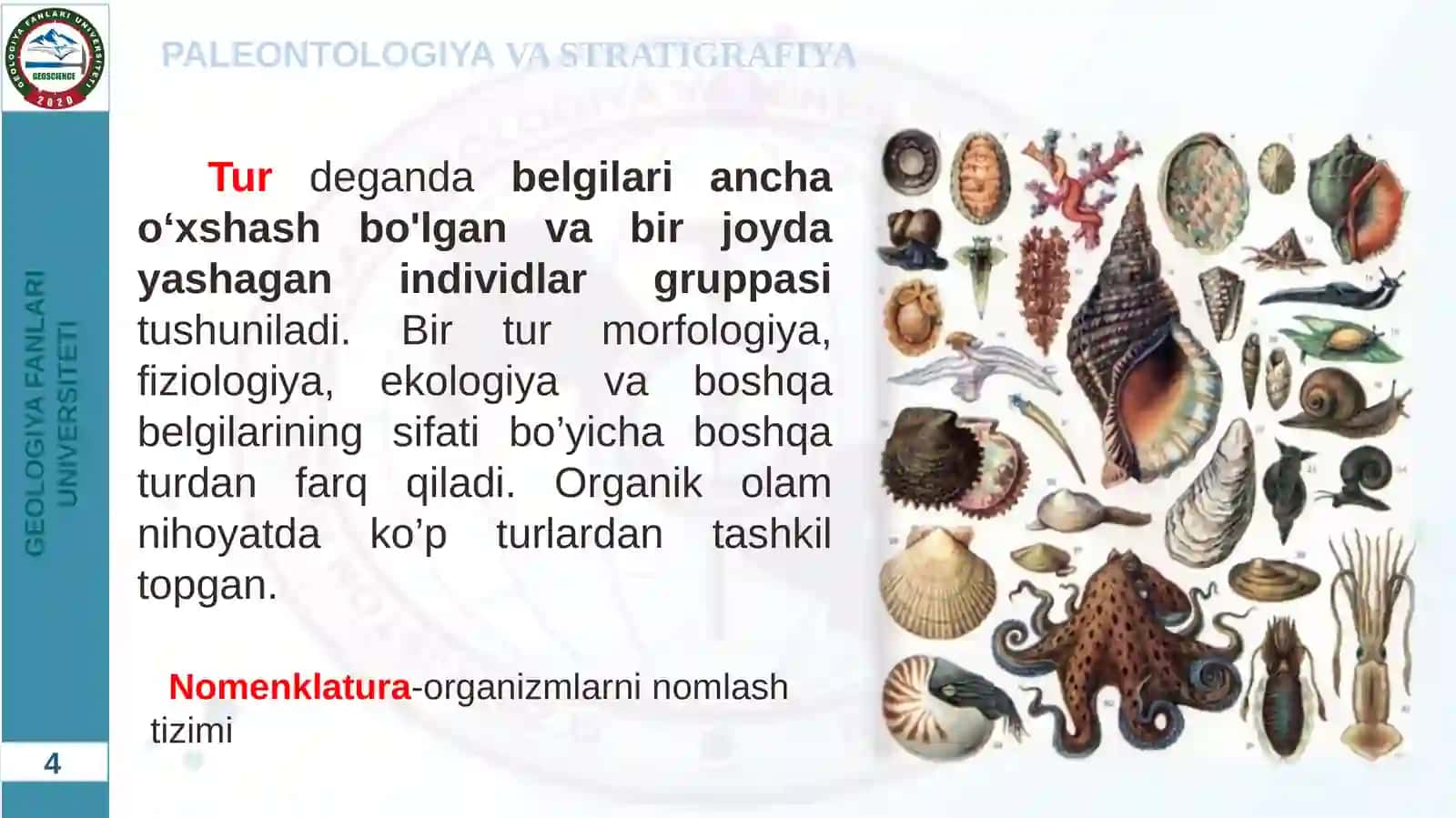 Paleontologiya 4