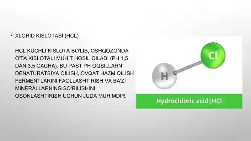 Oshqozon shirasining interpretatsiyasi 4
