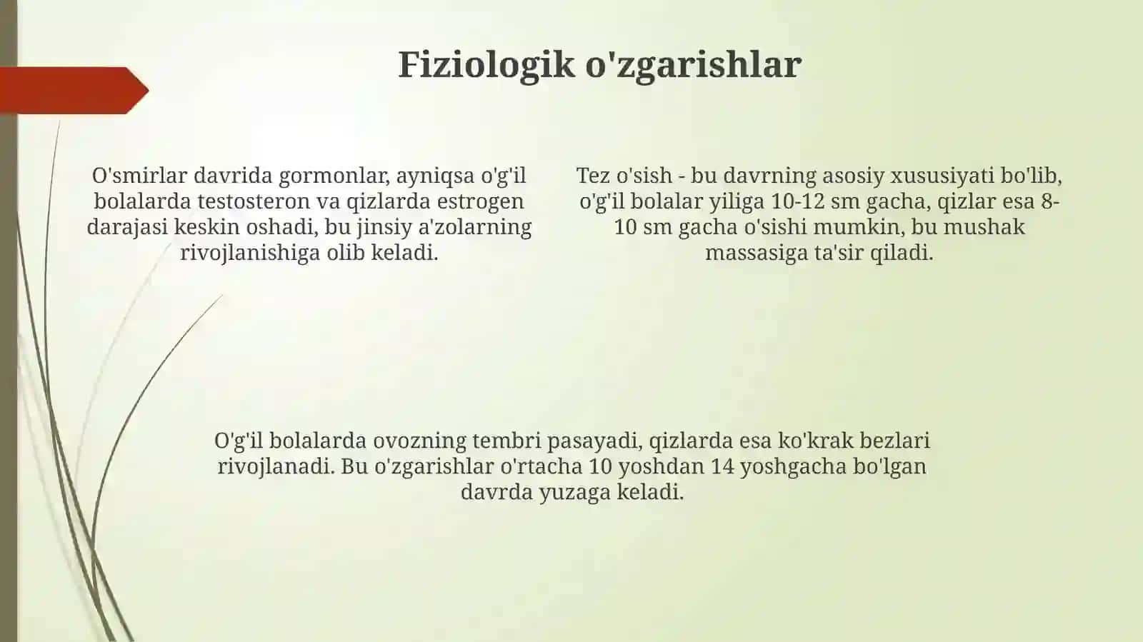 Ilk oʻspirinlik davri 4