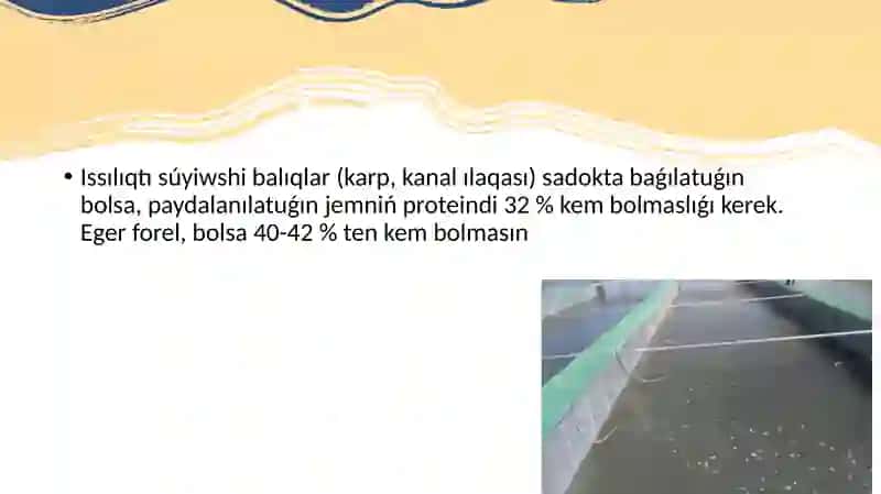 Suw saqlaǵısh balıqshılıǵı monokultura texnologiyası 4