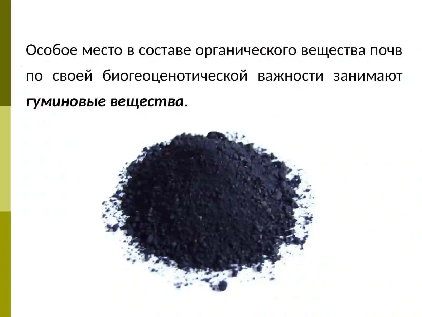 ОРГАНИЧЕСКОЕ ВЕЩЕСТВО ПОЧВЫ 4
