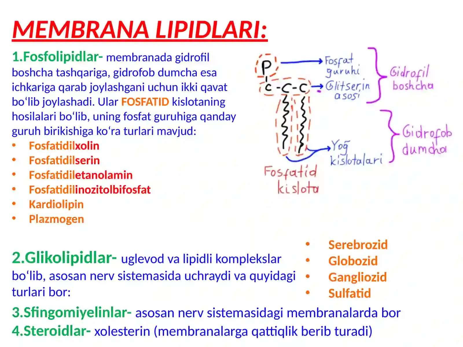 BIOMEMBRANALAR TUZILISHI VA XOSSALARI 4