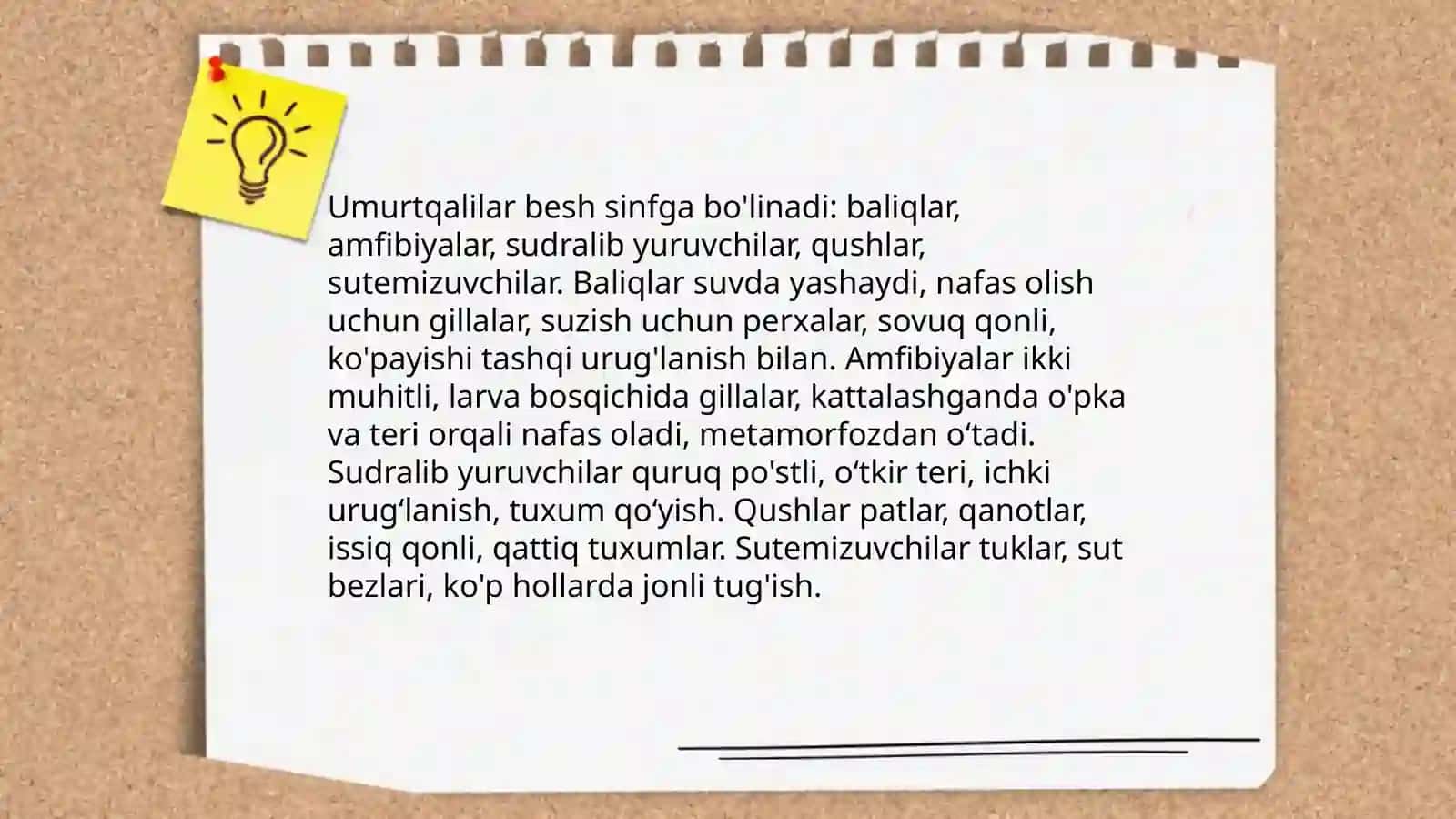 Umurtqali va umurtqasz hayvonlar 4