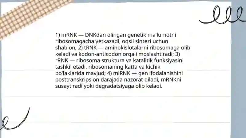 Dnk rnk 4