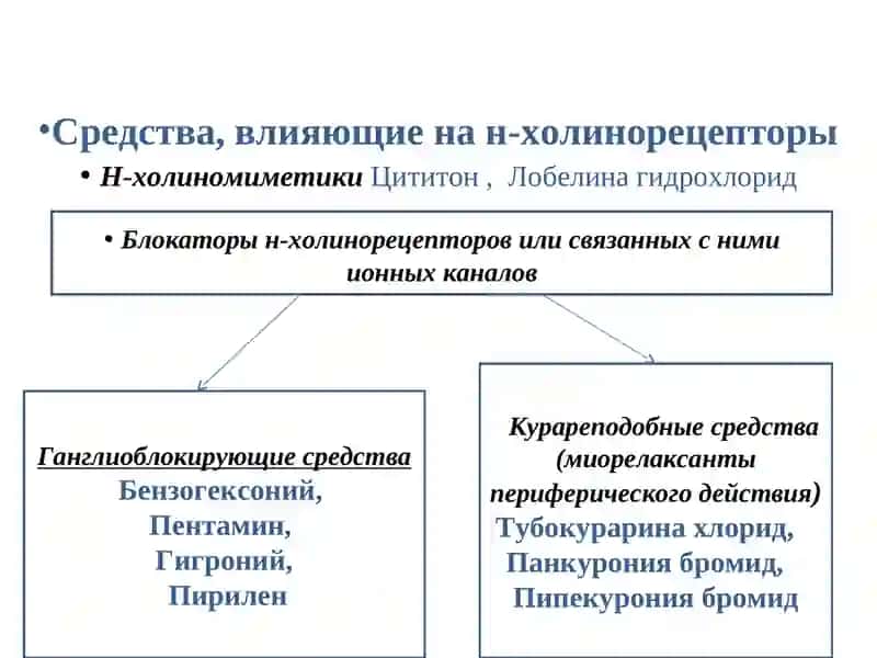 Н-холинергические средства.Ганглиоблокаторы.Миорелаксантанты. М-холиноблокаторы 4