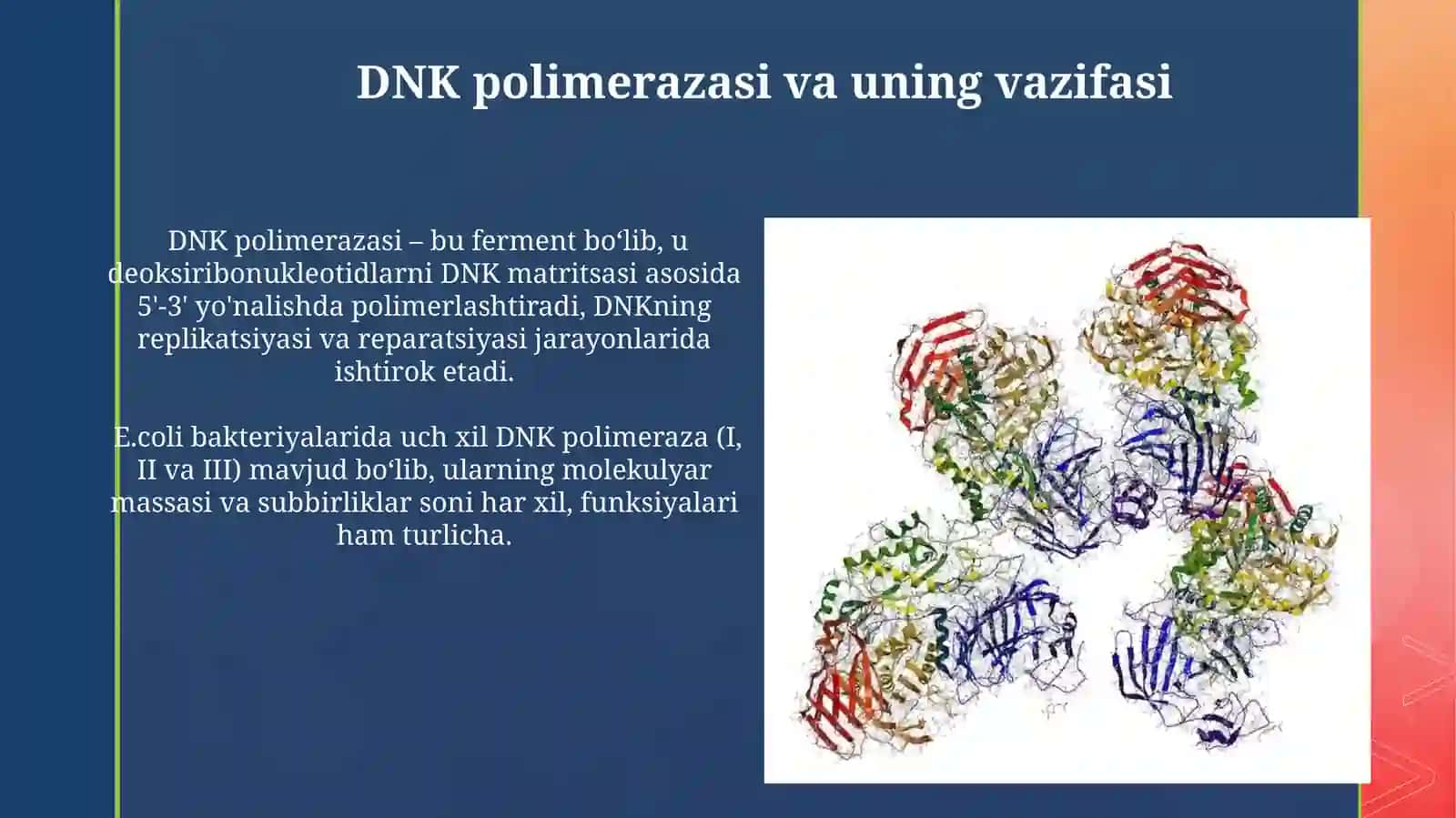 Hujayrada transkripsiya, translyatsiya va replikatsiya jarayonlari 4