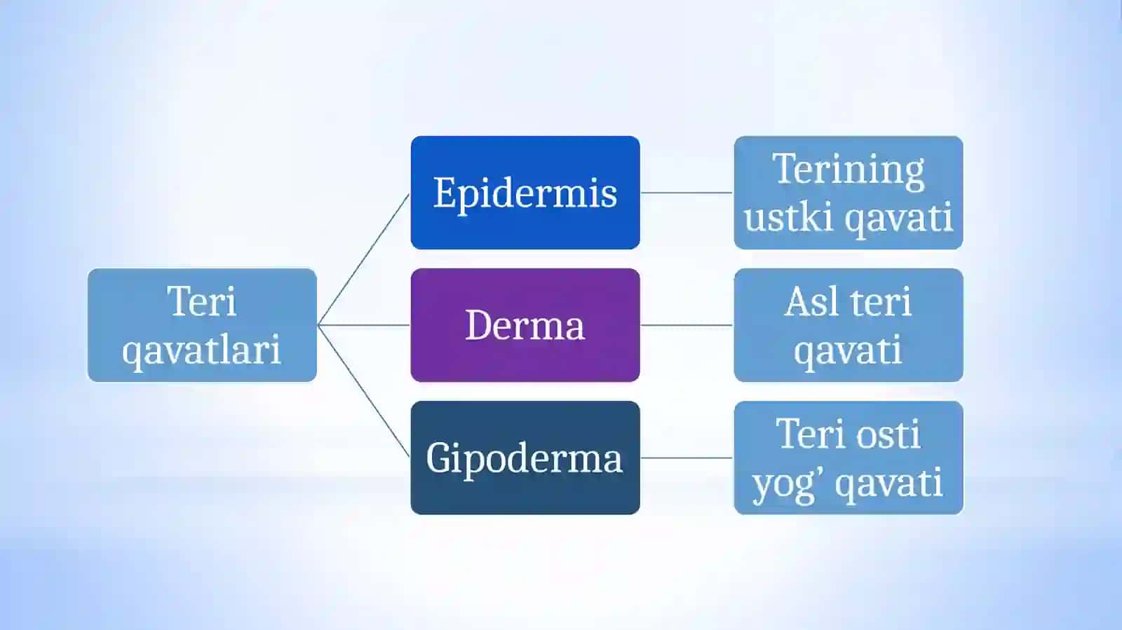Bemor bolalarni nazorat qilish va parvarishlash. Yotoq yaralar va ularni davolash 4