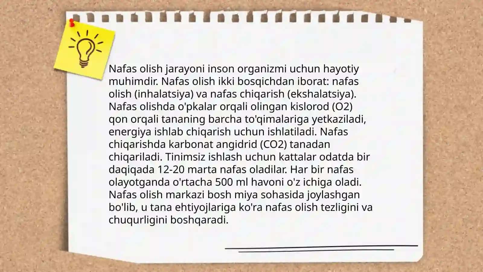 Tashqi nafas funksiyasini o'rganish 4
