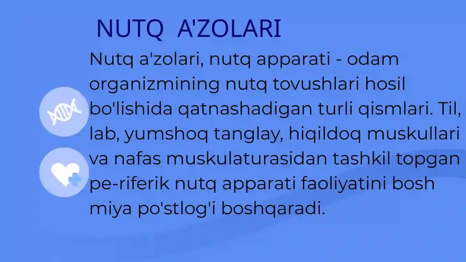 INSON NUTQ ORGANLARI HAQIDA ASOSIY TUSHUNCHALARI 4