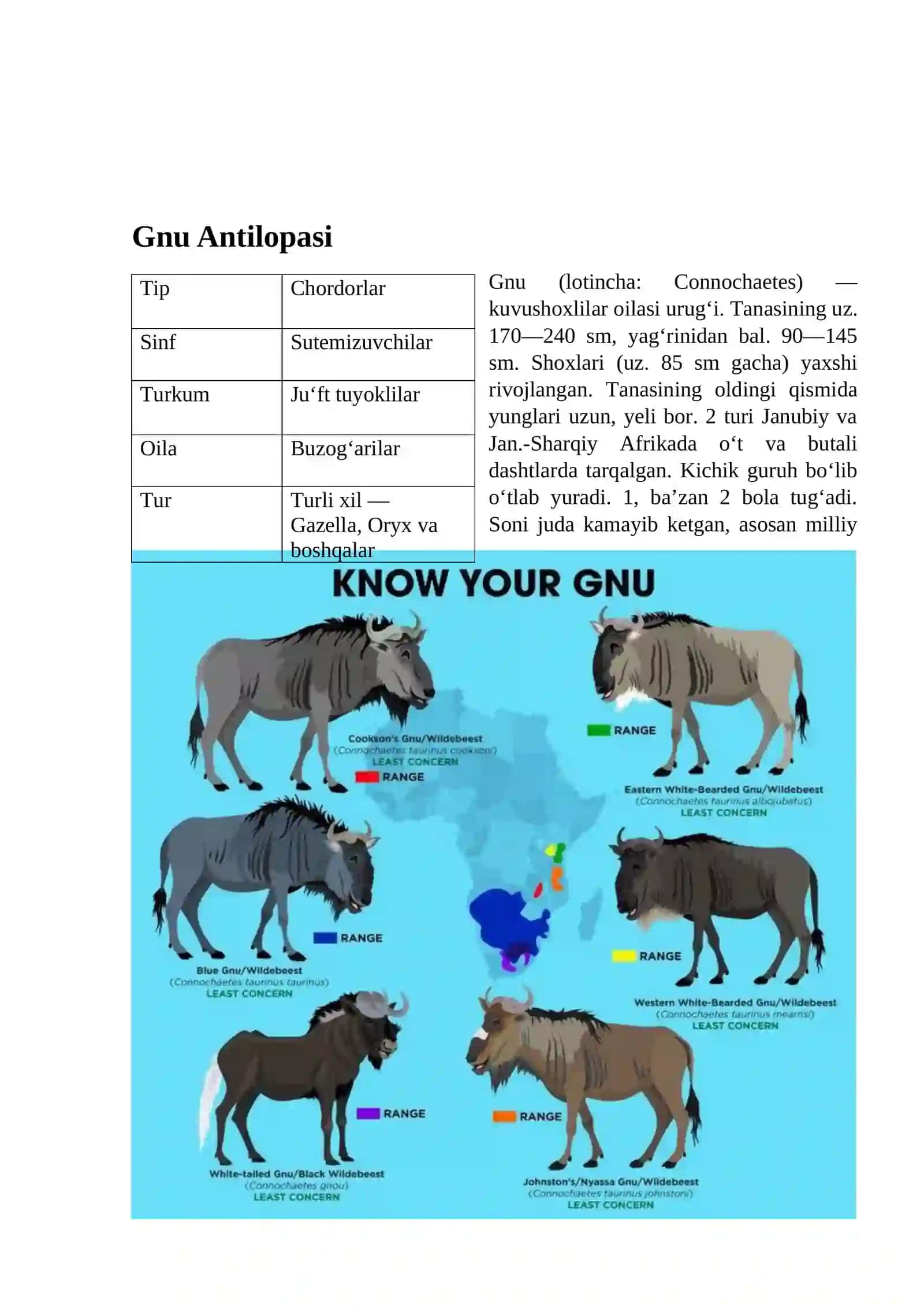 Jirafalilar 4