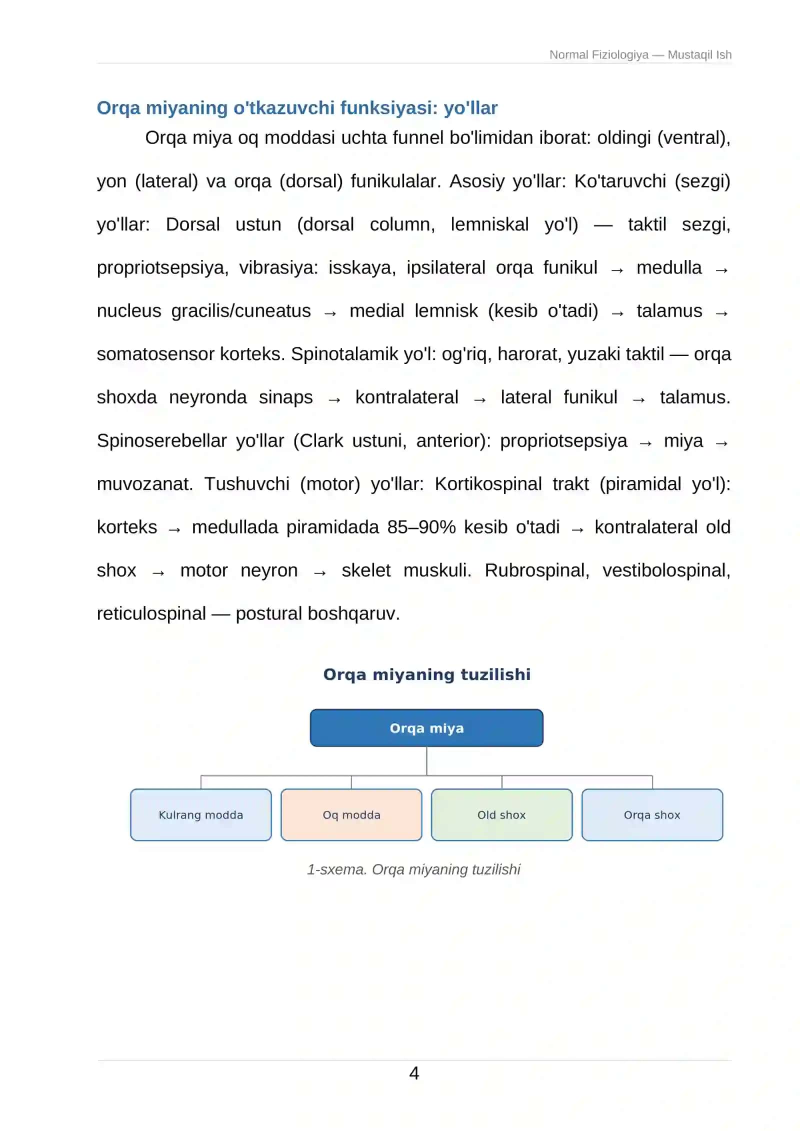 Odam va hayvonlar fiziologiyasi 4
