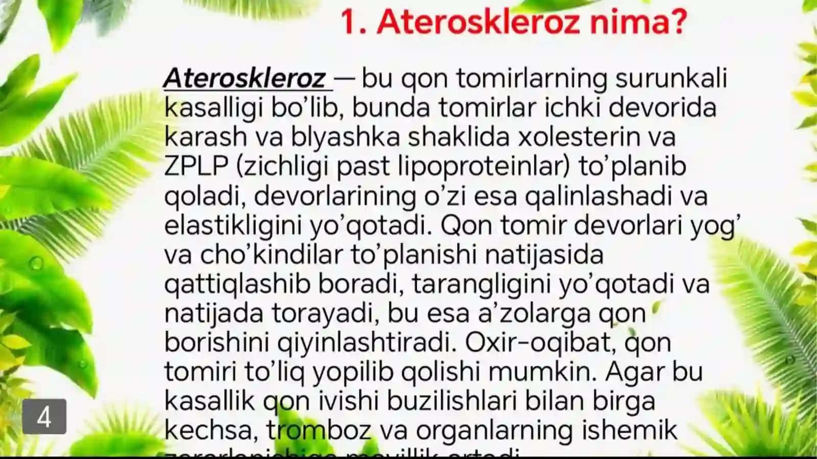 Atroskleroz 4