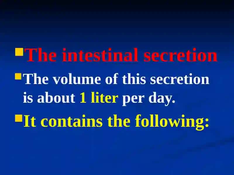 The small intestine 4
