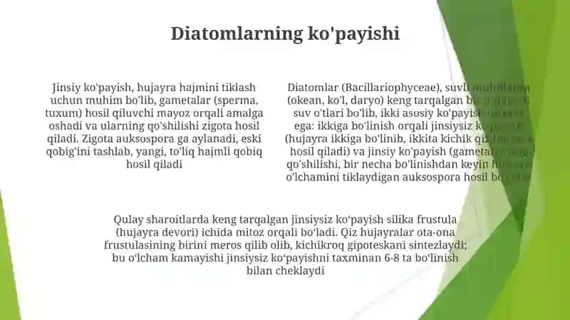Diatom suvoʻtlar bilan tanishish 4
