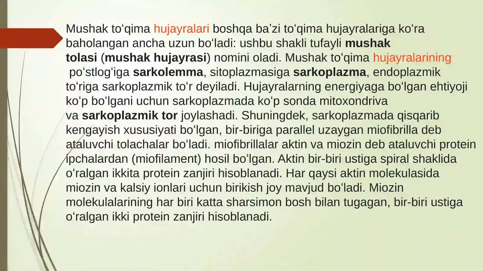 MUSHAK ISHINING ENERGETIK TAMINOTI 4