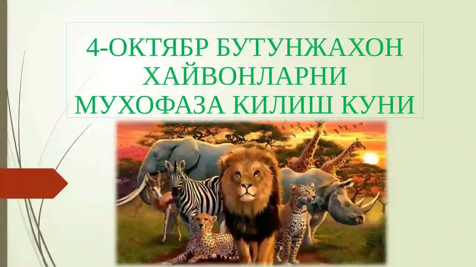 ФАН НОМИ: ХОЗИРГИ ЗАМОННИНГ ЭКОЛОГИК МУАММОЛАРИ: «ҲАЙВОНОТ ОЛАМИНИ МУҲОФАЗА ҚИЛИШ» 4