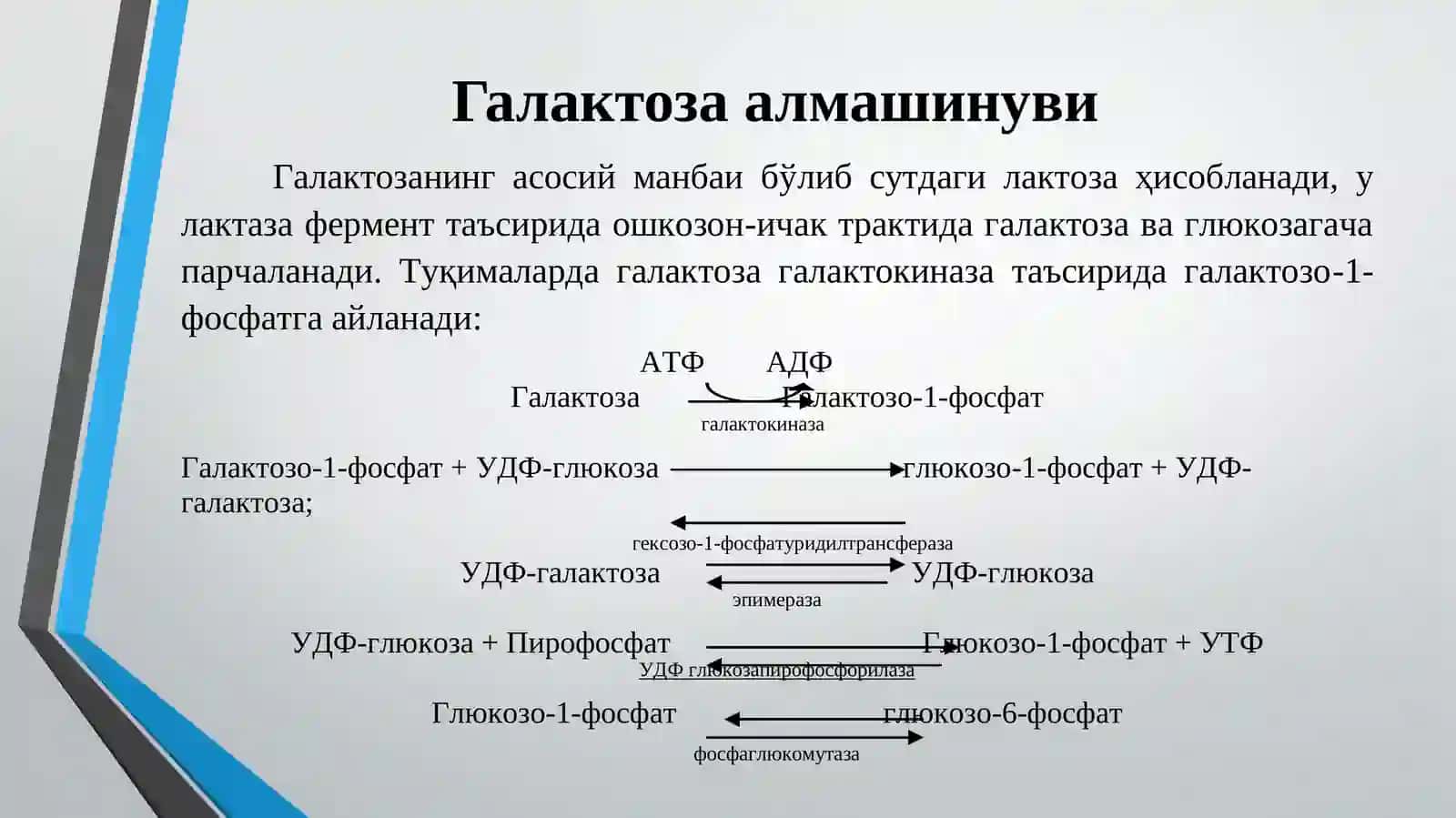 Углеводлар алмашинуви 4
