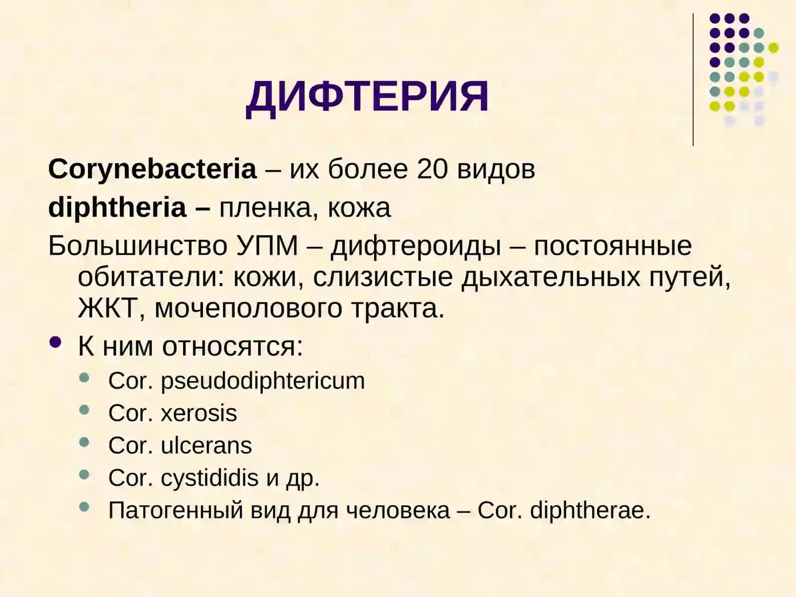 Характеристика возбудителей воздушно-капельных инфекций 4