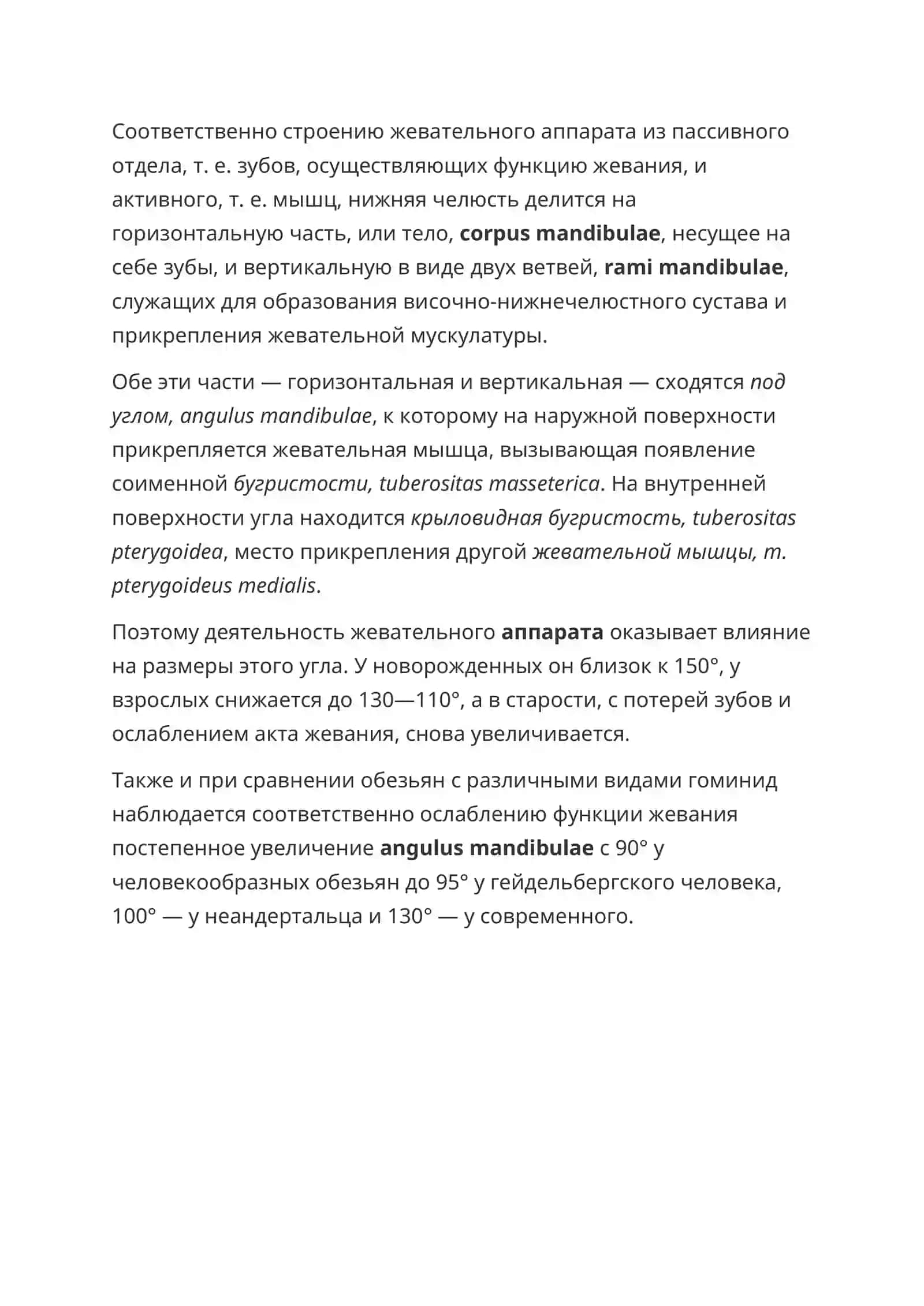 Небная кость 4