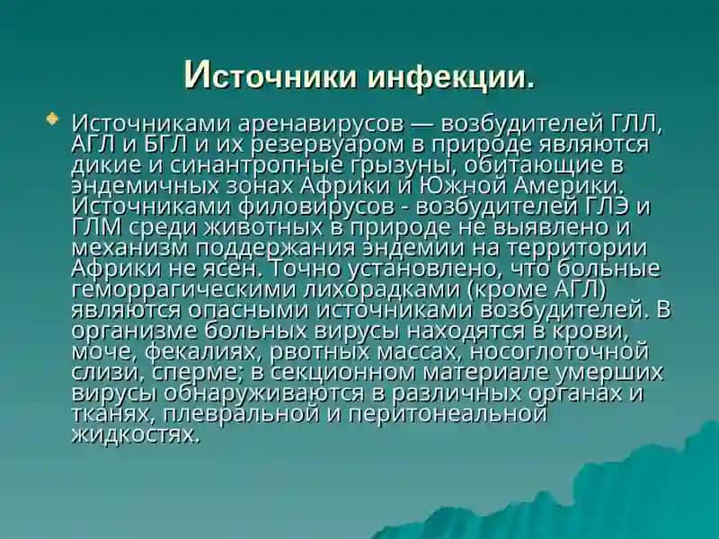 ЭПИДЕМИОЛОГИЯ И ПРОФИЛАКТИКА И ЭПИДЕМИОЛОГИЧЕСКИЙ НАДЗОР КРОВЯННЫХ ИНФЕКЦИЙ: ЛАССА, ЭБОЛА, МАРБУРГА 4