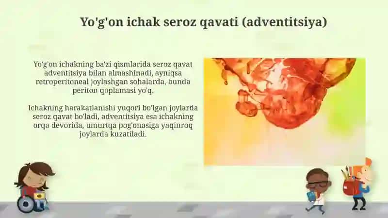 Yo'g'on ichak, jigar, meda osti va ot qopi gistalogiyasi 4