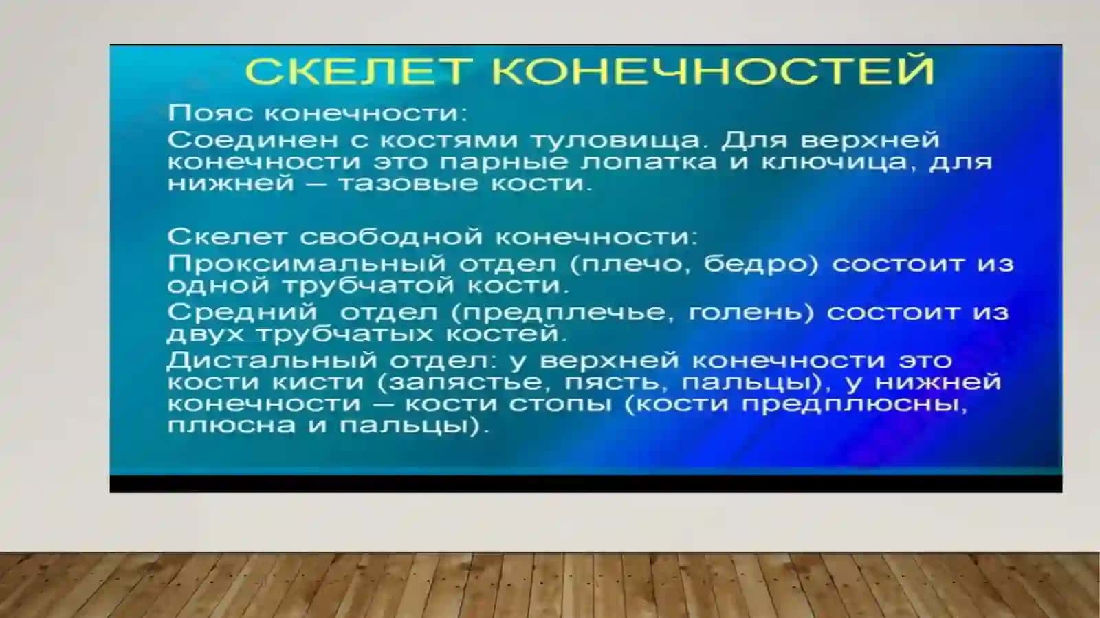 Развитый верхный и нежный конечност и их фактри 4