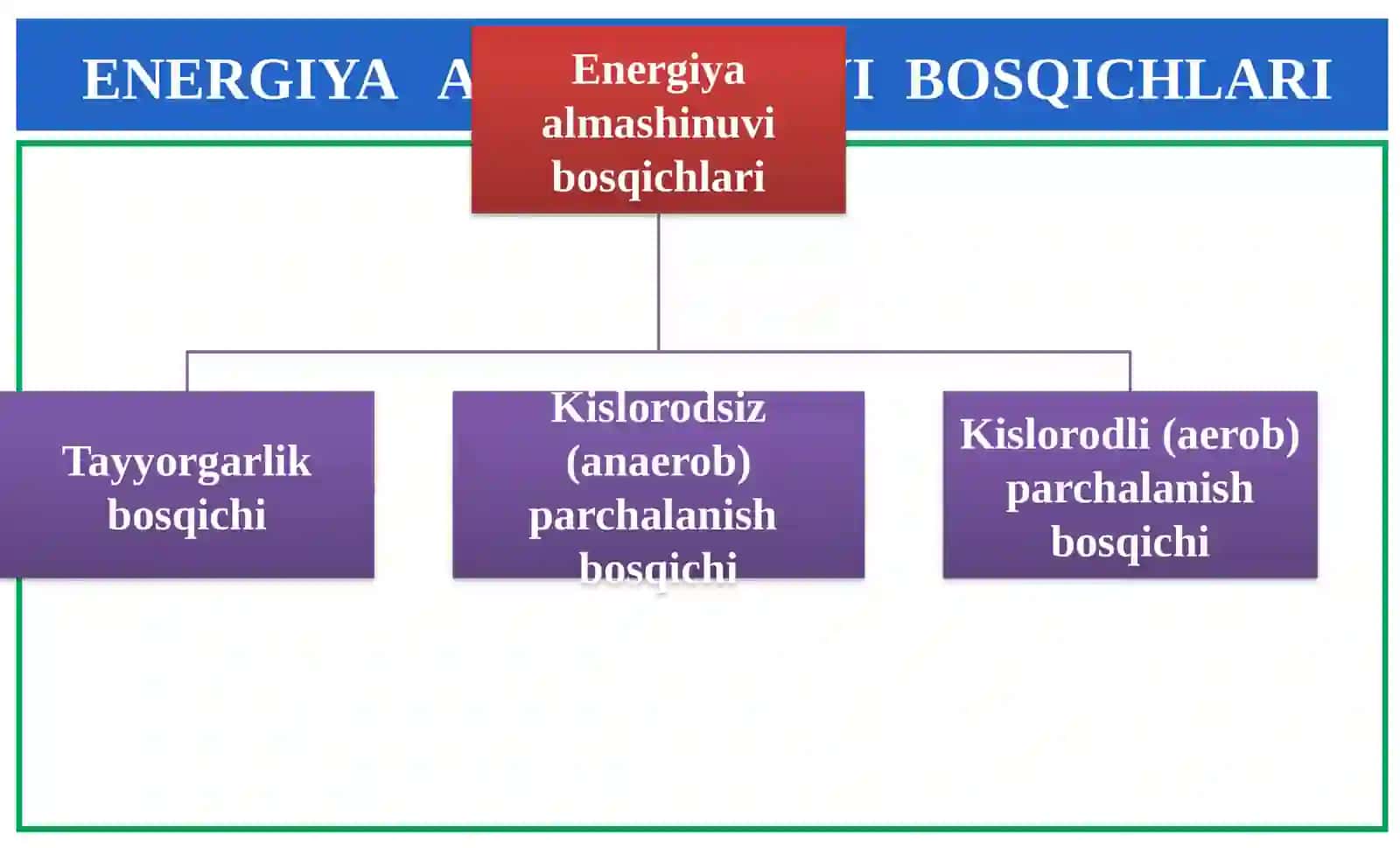 ENERGIYA ALMASHINUVI BOSQICHLARI 4
