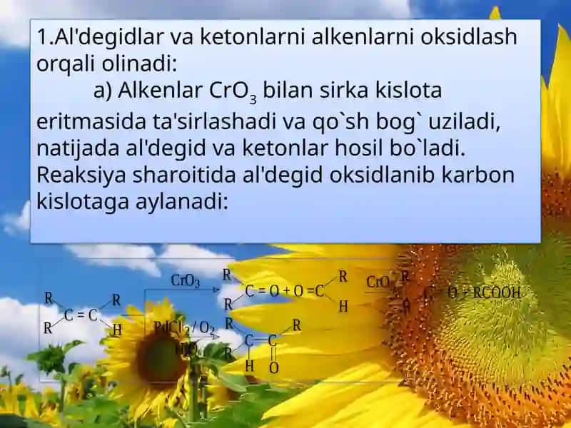 Aldigidvaketonlar 4
