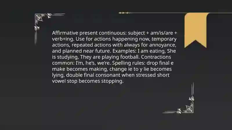Present Continuous Tense 4