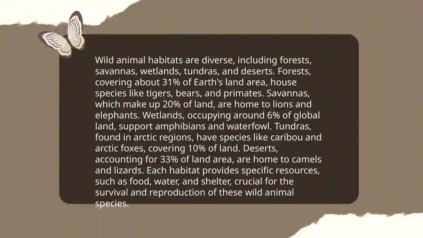 Wild animals 4