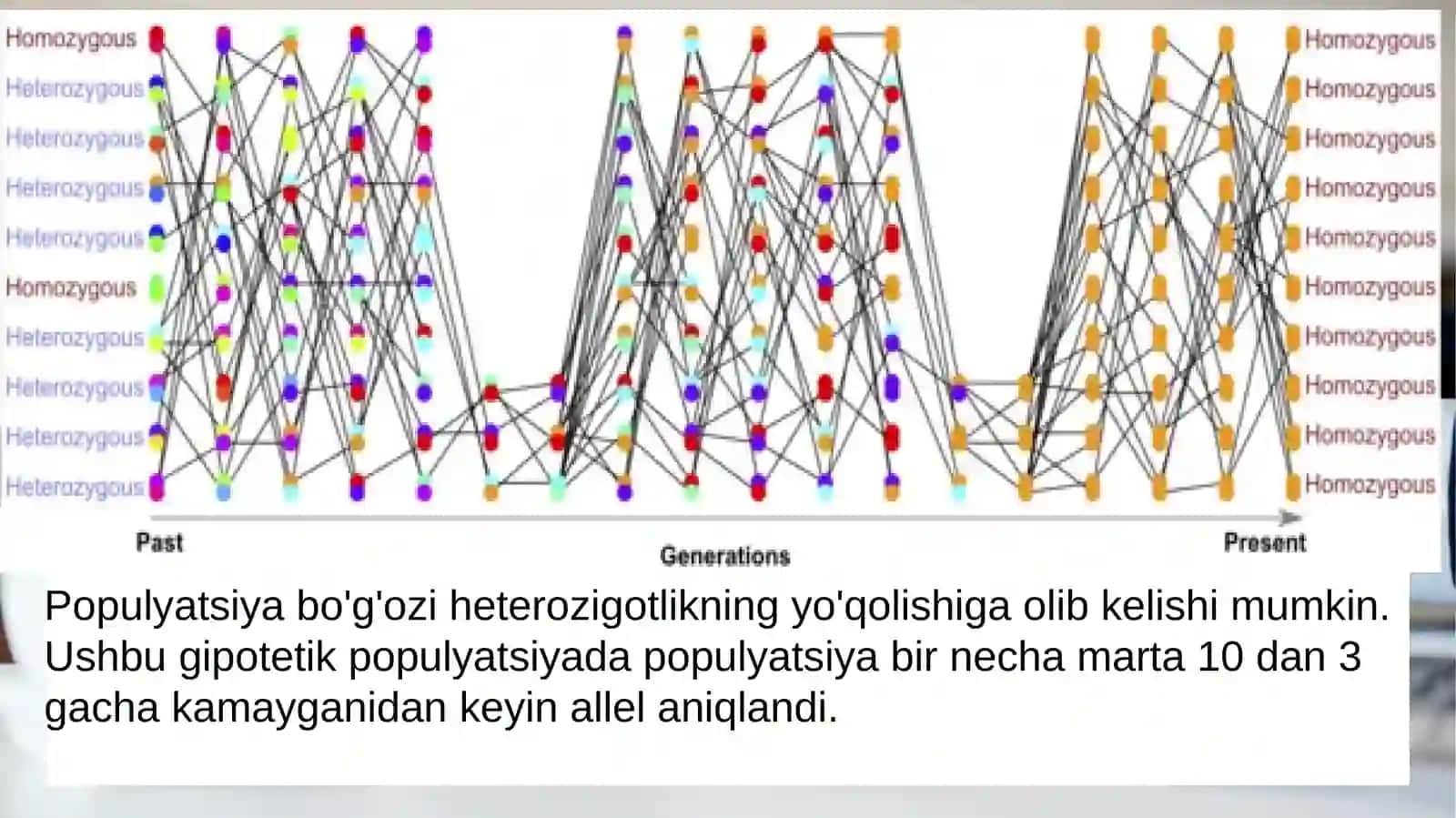 Populyatsiyalar genetikasi 4
