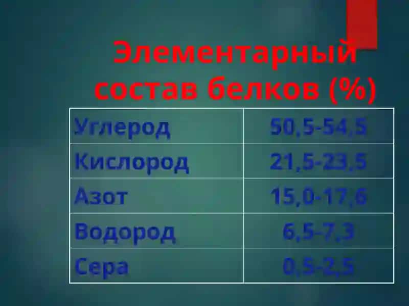 Строение и функции белков 4