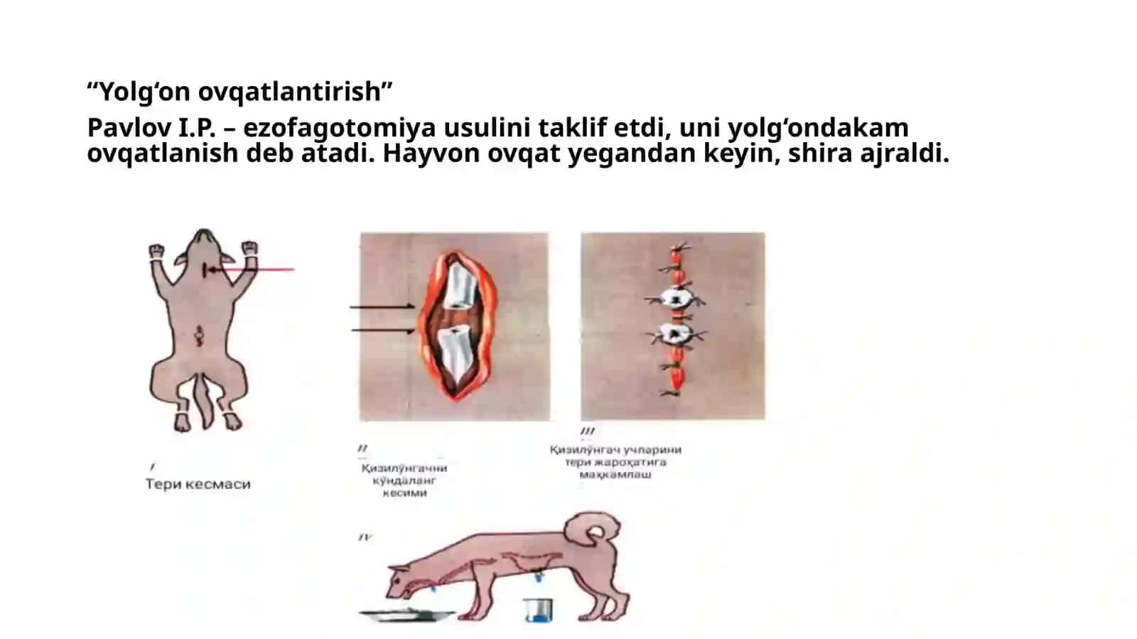 Havzi tizimining oʻrganish usullari 4