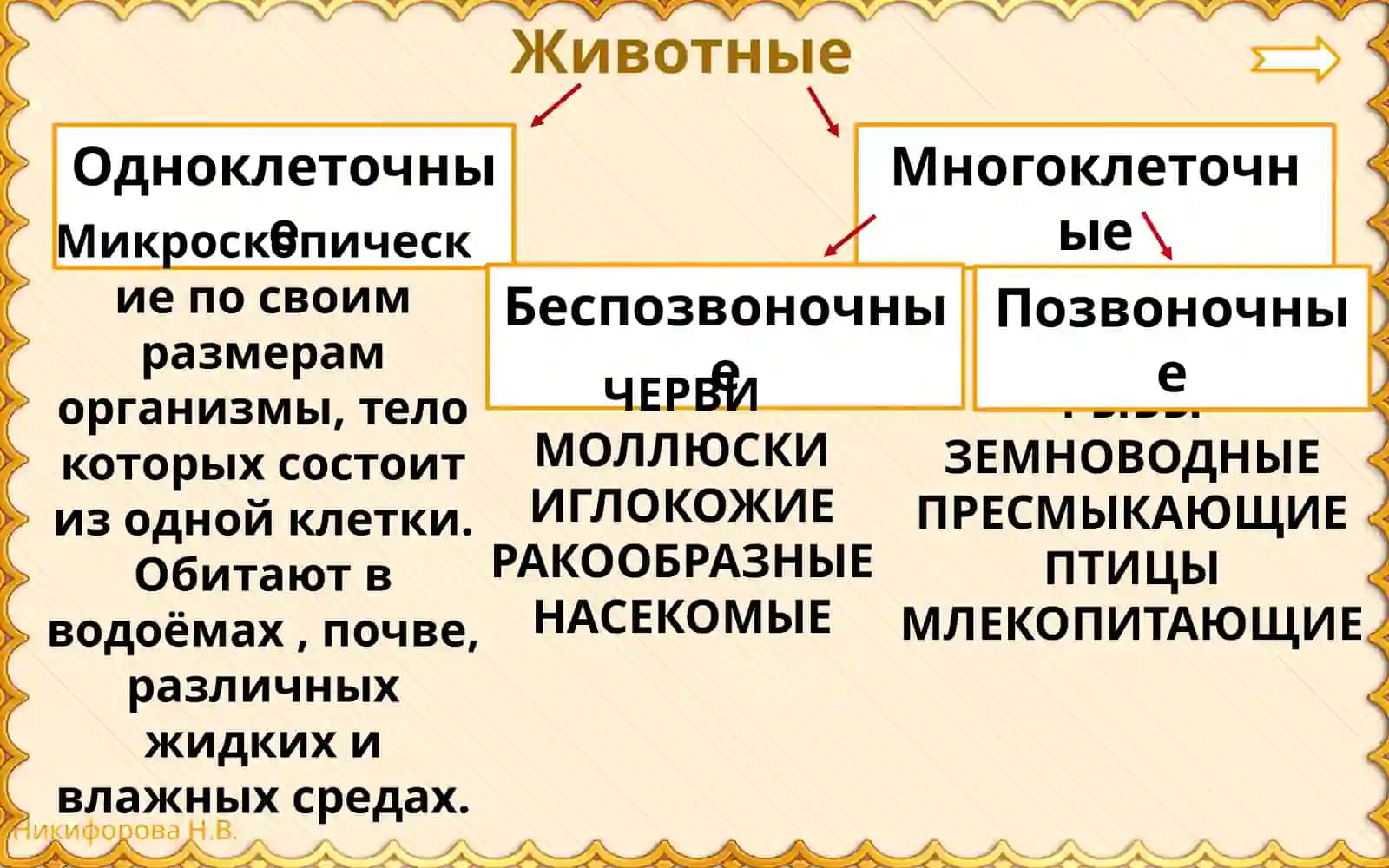 Животные 4